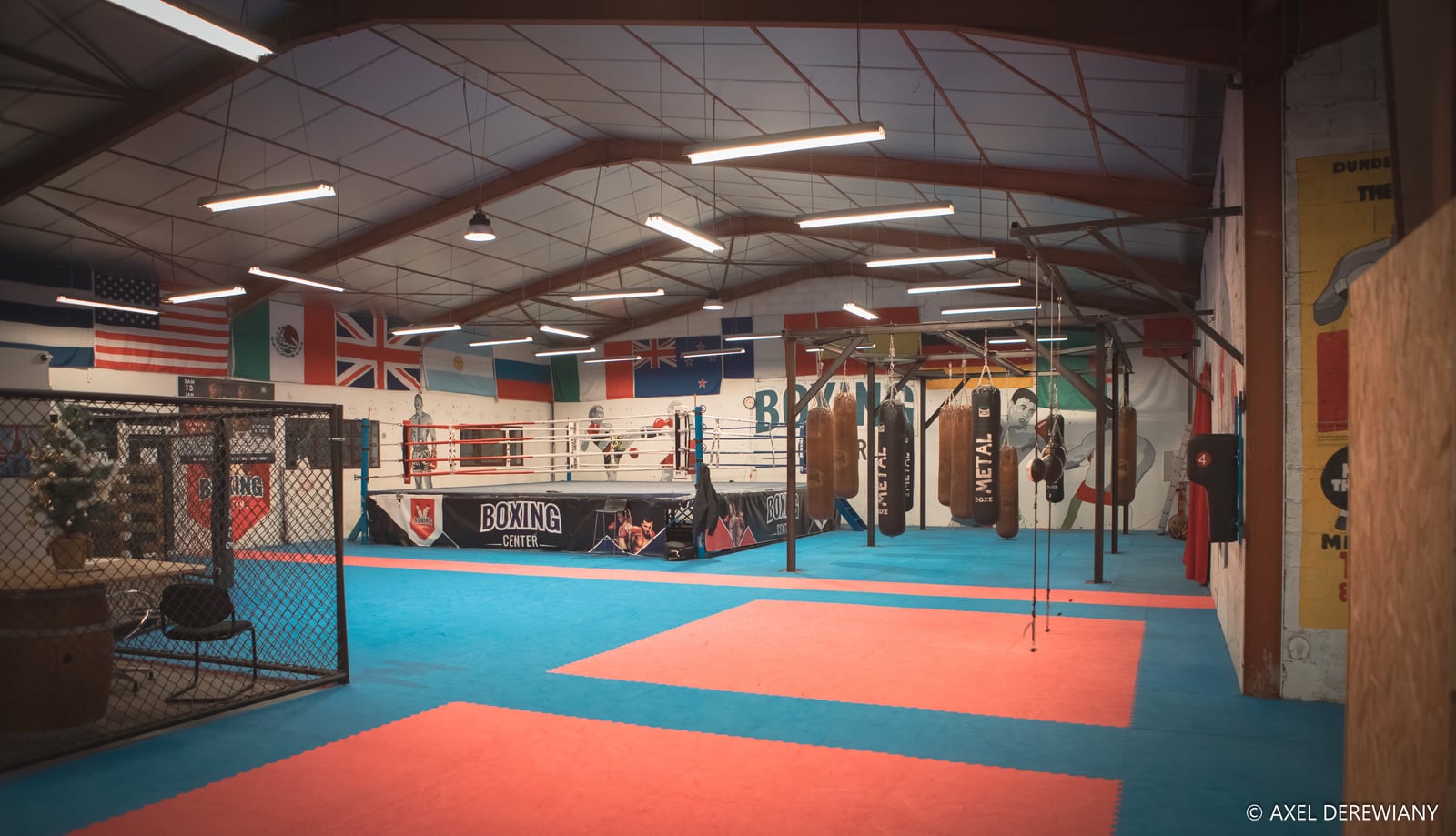 La salle et les rings du club